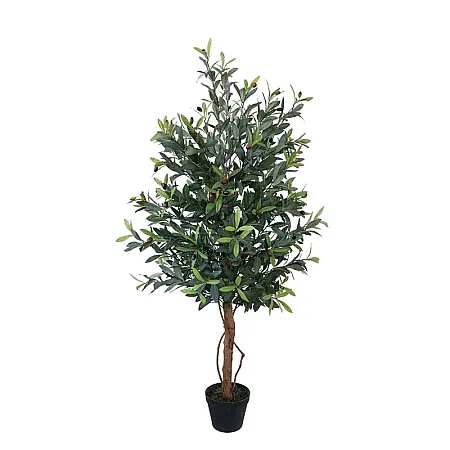 images/uploads/8509/thumb_16025 Neo.webp